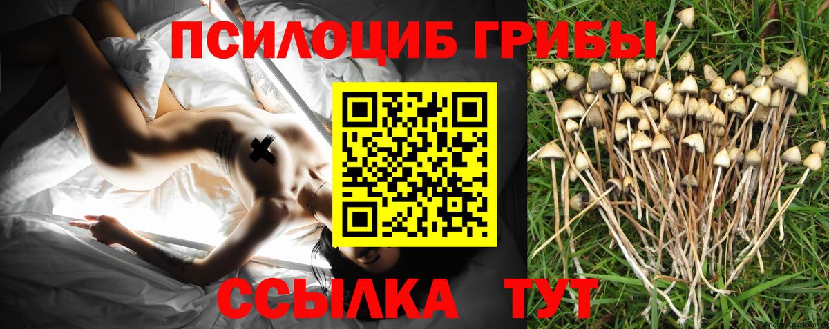 Псилоцибиновые грибы прущие грибы Ейск